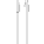 Belkin Antennen, SAT Anschlusskabel [1x Antennenstecker 75Ω - 1x Antennenbuchse 75 Ω] 2.00m 76 dB Weiß