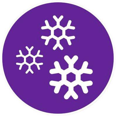 Philips BHD176/00 Haartrockner Schwarz, Violett