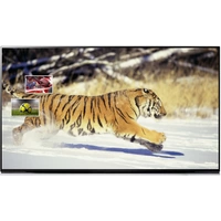 SpeaKa Professional 4 Port HDMI-Switch mit Picture in Picture-Funktion, mit Fernbedienung 3840 x 2160 Pixel SpeaKa Professional 4 Port HDMI-Switch mit Picture in Picture-Funktion, mit Fernbedienung 3840 x 2160 Pixel