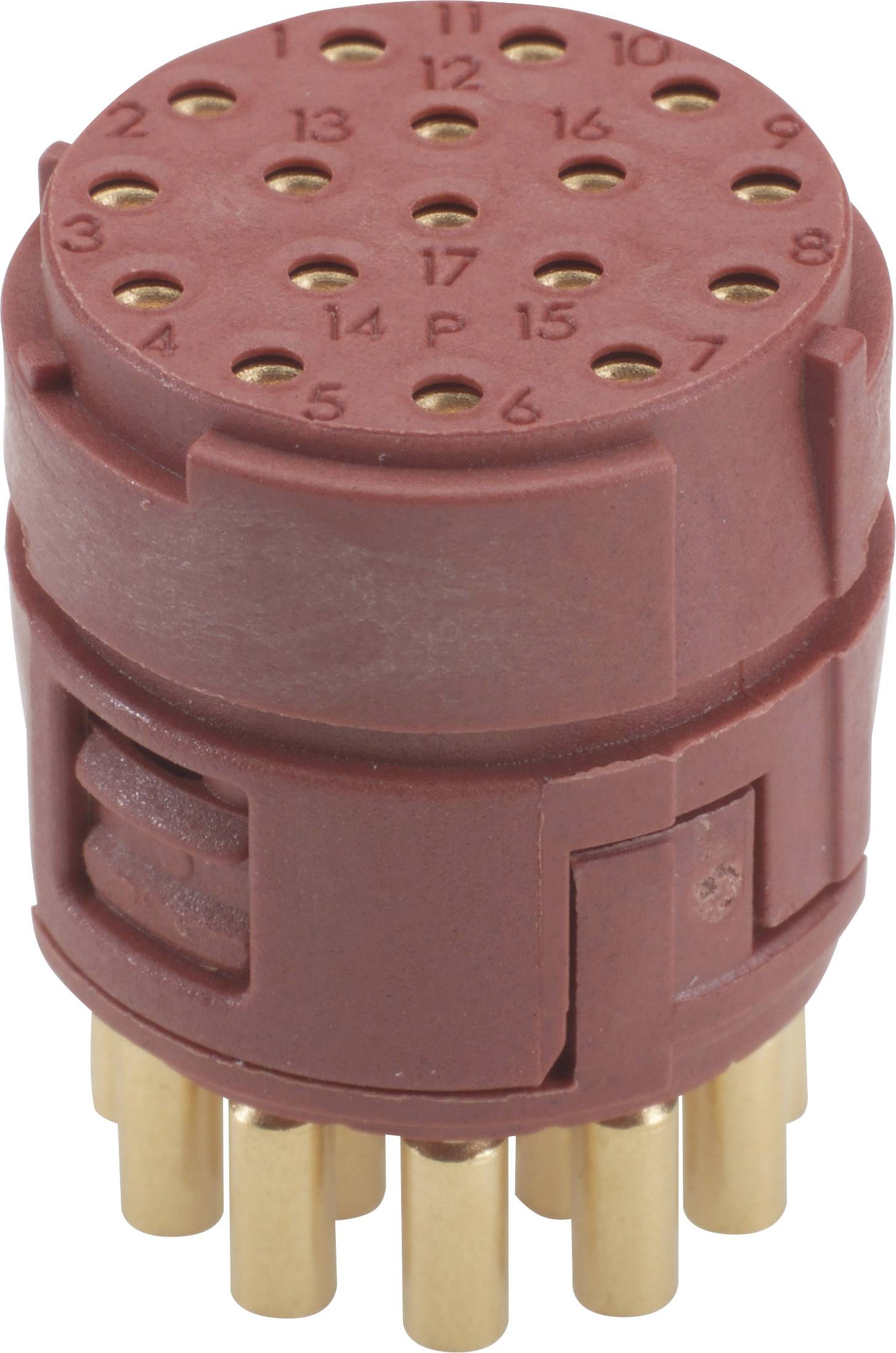 EPIC® SIGNAL M23 P Einsätze, 17 polig 73018010 LAPP Inhalt: 20 St.