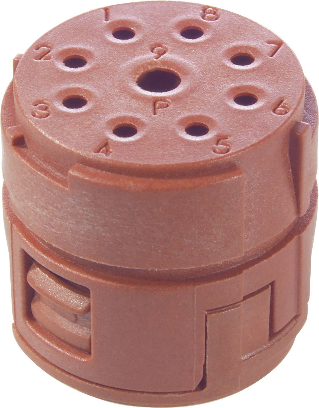 EPIC® SIGNAL M23 P Einsätze, 8+1 polig 73002737 LAPP Inhalt: 20St.