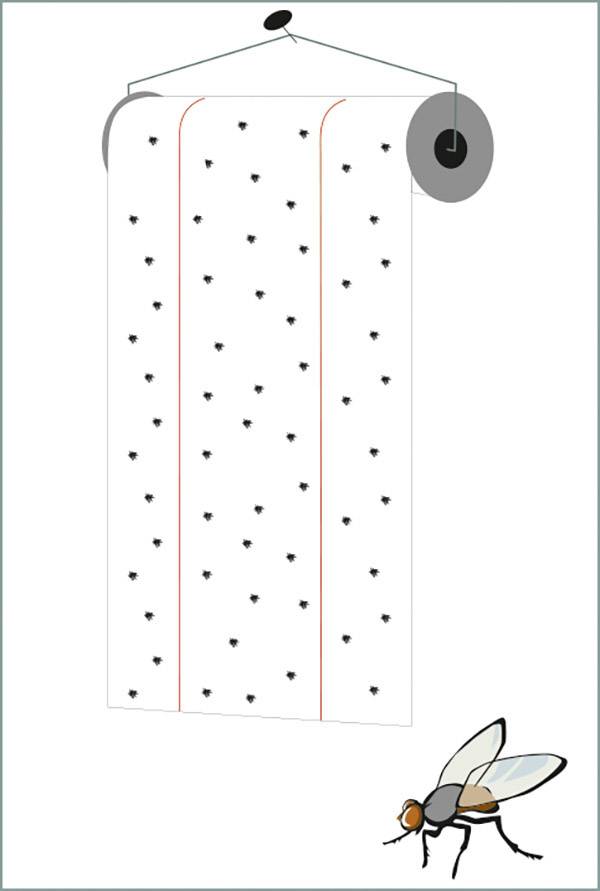 Redtop Fliegenrolle 31006 Fliegenfalle Klebefolie, Lockstoff (L x B) 9m x 0.3m Gelb 1St.