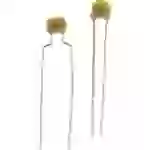 TANCAP CT4-0805B104K500C1 Keramik-Kondensator THT 100 nF 50V 10% (B x H) 4.2mm x 25mm TANCAP CT4-0805B104K500C1 Keramik-Kondensator THT 100 nF 50V 10% (B x H) 4.2mm x 25mm