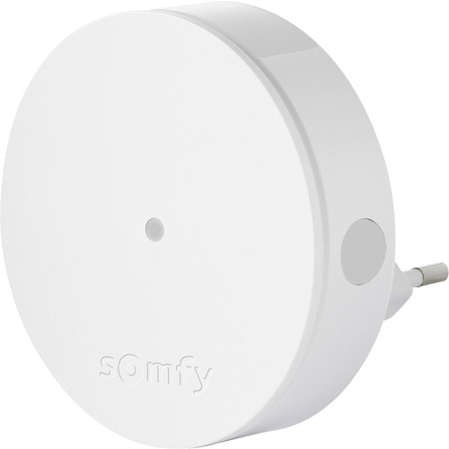 Somfy Funk-Repeater Home Alarm 2401495