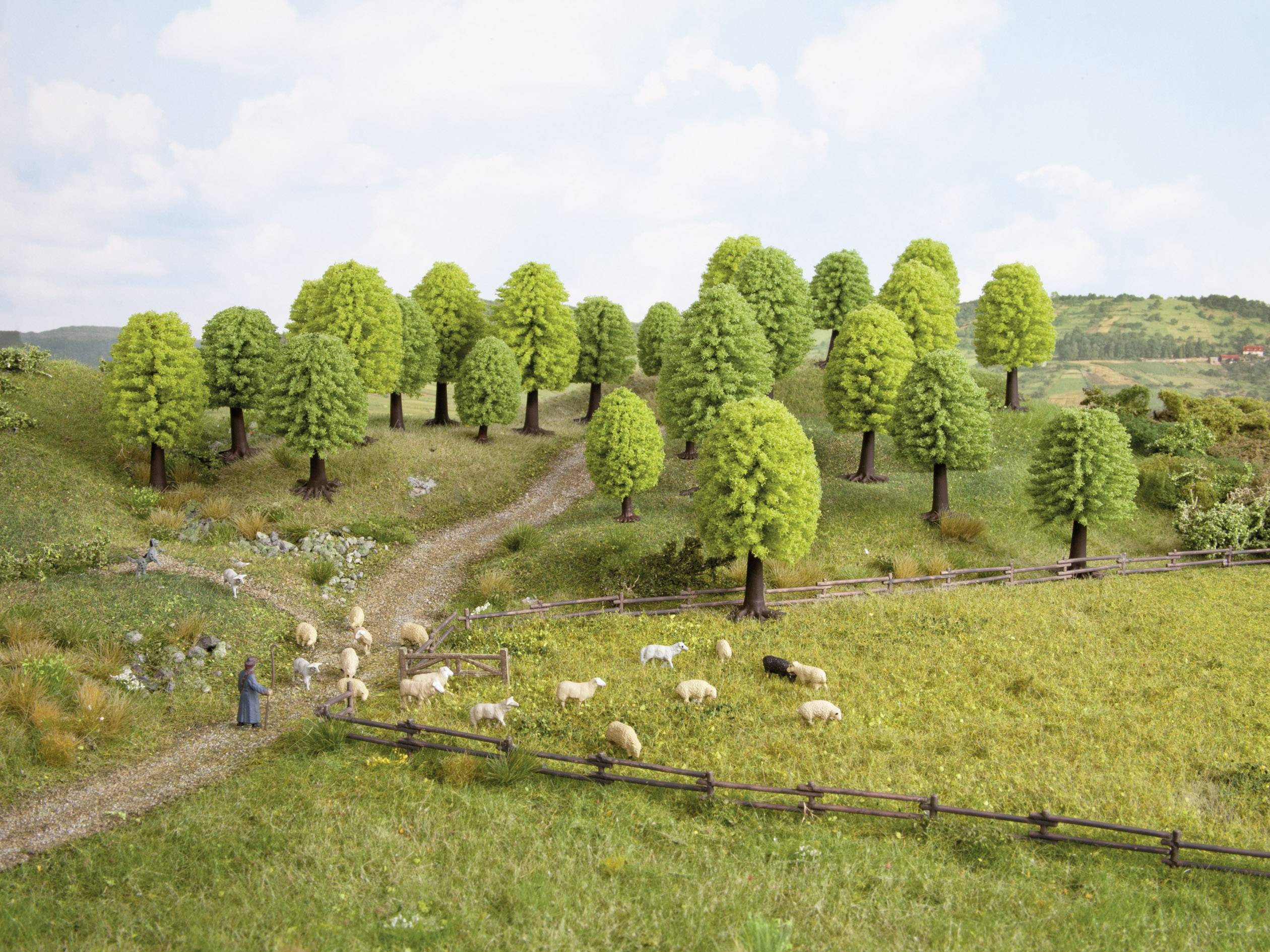 Eine ländliche Szene mit einer Herde Schafe, die in einem grasbewachsenen Bereich grasen. Bäume und ein Zaun im Hintergrund. Eine Person steht am Weg.