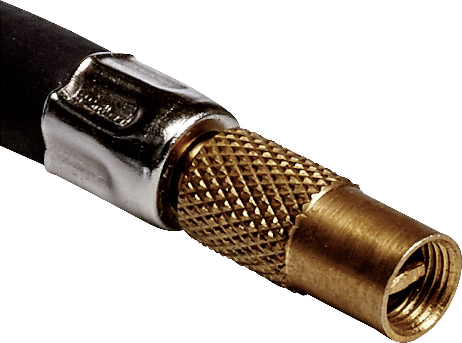 Nahaufnahme eines Koaxialkabel-Anschlusses mit einem goldfarbenen, gerändelten Metallstecker an einem schwarzen Kabel.