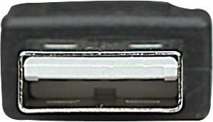 Nahaufnahme eines USB-Anschlusses in rechteckiger Form, umgeben von einem schwarzen Kunststoffgehäuse.