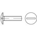 TOOLCRAFT 159306 Bordwandschrauben M6 10mm Schlitz 88107 Stahl galvanisch verzinkt 500St.