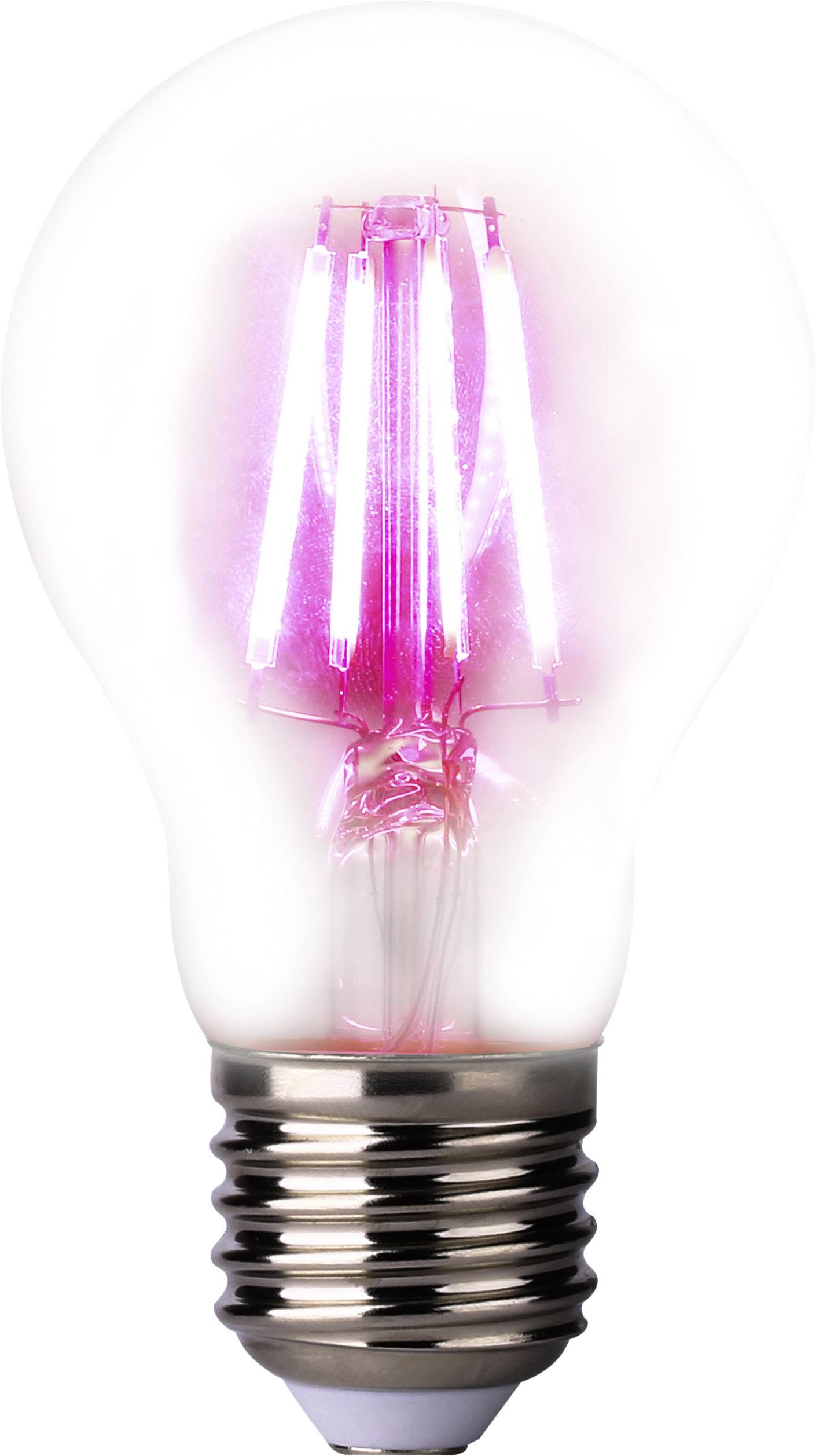 Glühbirne mit leuchtend rosa Filament, vor weißem Hintergrund. Licht symbolisiert Kreativität und Ideen.
