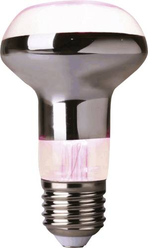 LightMe LED-Pflanzenlampe LM85321 104 mm 230 V E27 4 W Reflektor 1 St.