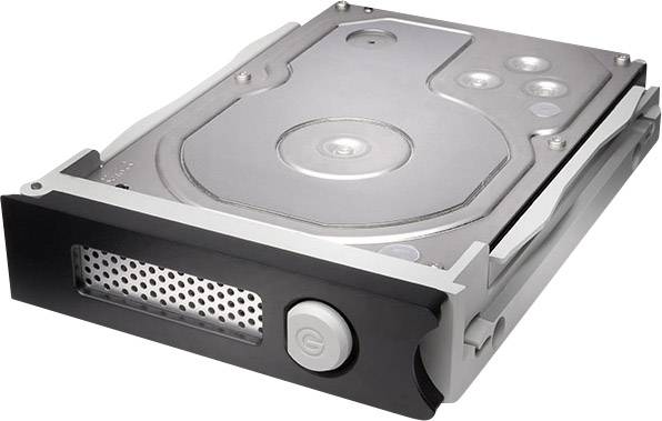 G-Technology Externes Multi-Festplatten-System 12TB G-Raid Removable Silber Thunderbolt