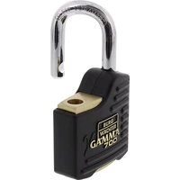 Burg Wächter Gamma 700 55 SB Vorhängeschloss verschieden schließend Messing, Schwarz Profilzylinder-Vorhangschloss Burg Wächter Gamma 700 55 SB Vorhängeschloss verschieden schließend Messing, Schwarz Profilzylinder-Vorhangschloss