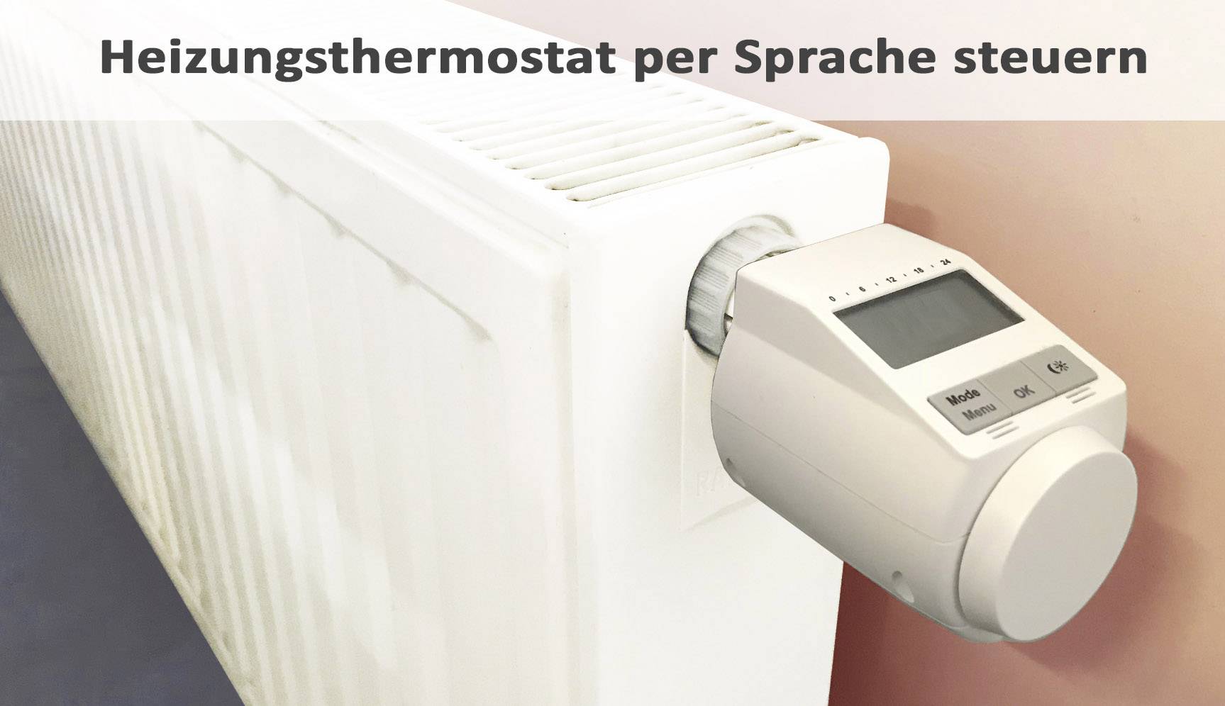 Joy-it Sprachsteuerung