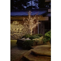 Konstsmide 2366-000 Micro-Lichterkette Außen netzbetrieben Anzahl Leuchtmittel 80 Glühlampe Klar Beleuchtete Länge: 3.95 m Konstsmide 2366-000 Micro-Lichterkette Außen netzbetrieben Anzahl Leuchtmittel 80 Glühlampe Klar Beleuchtete Länge: 3.95 m