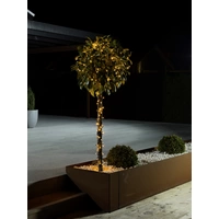 Konstsmide 3640-810 Micro-Lichterkette Außen EEK: G (A - G) netzbetrieben Anzahl Leuchtmittel 120 LED Bernstein Beleuchtet Konstsmide 3640-810 Micro-Lichterkette Außen EEK: G (A - G) netzbetrieben Anzahl Leuchtmittel 120 LED Bernstein Beleuchtet