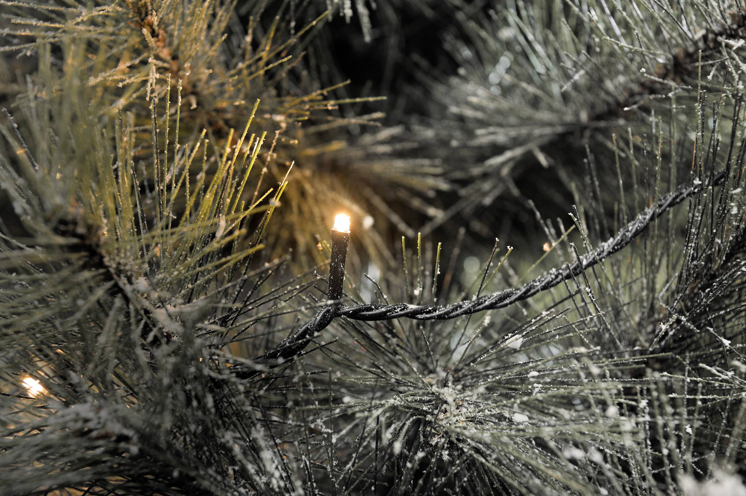 Konstsmide 3640-810 Micro-Lichterkette Außen EEK: G (A - G) netzbetrieben Anzahl Leuchtmittel 120 LED Bernstein Beleuchtet