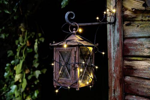 3810-100 Micro-Lichterkette Außen netzbetrieben Anzahl Leuchtmittel 40 LED Beleuchtete L; Energieeffizienzklasse: A