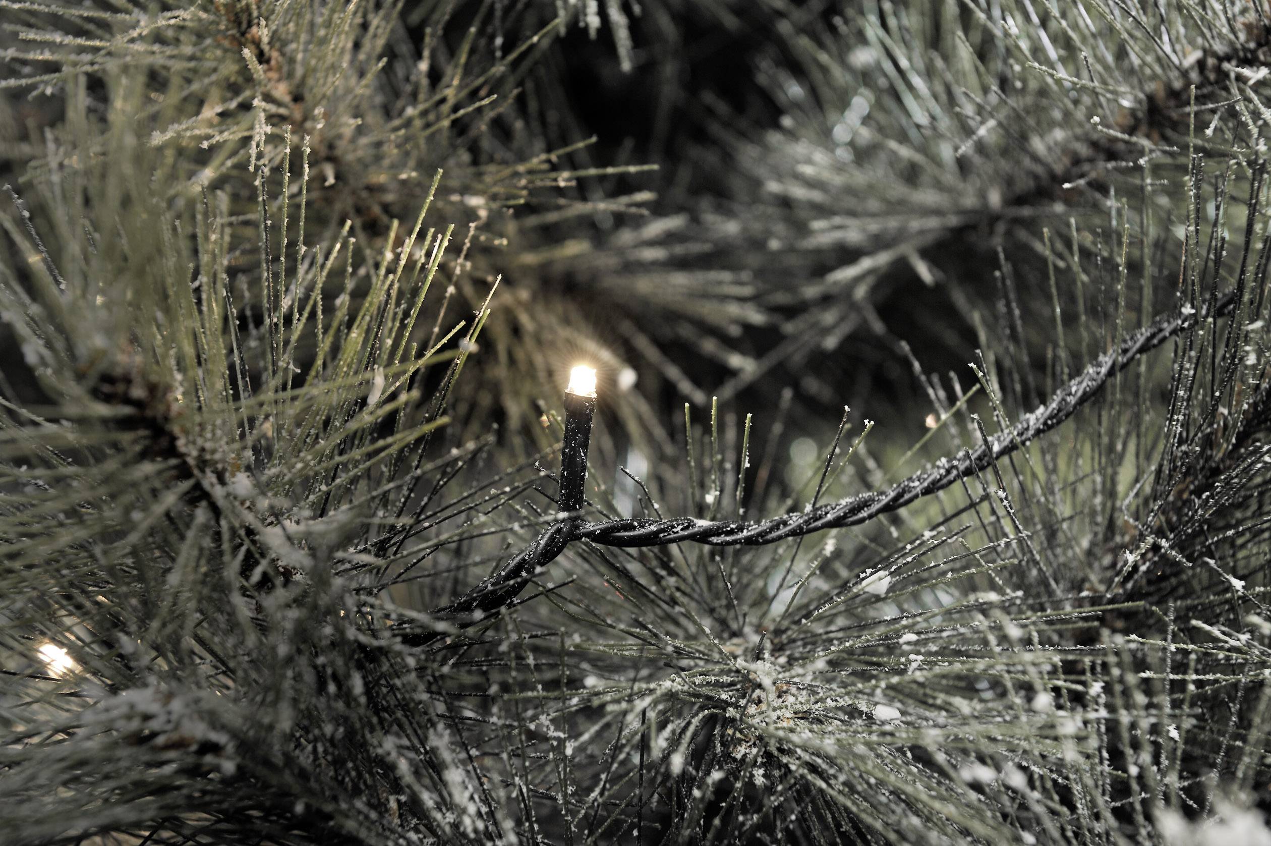 Konstsmide 3648-110 Micro-Lichterkette Außen EEK: F (A - G) netzbetrieben Anzahl Leuchtmittel 1000 LED Warmweiß Beleuchtete Länge: 69.93 m