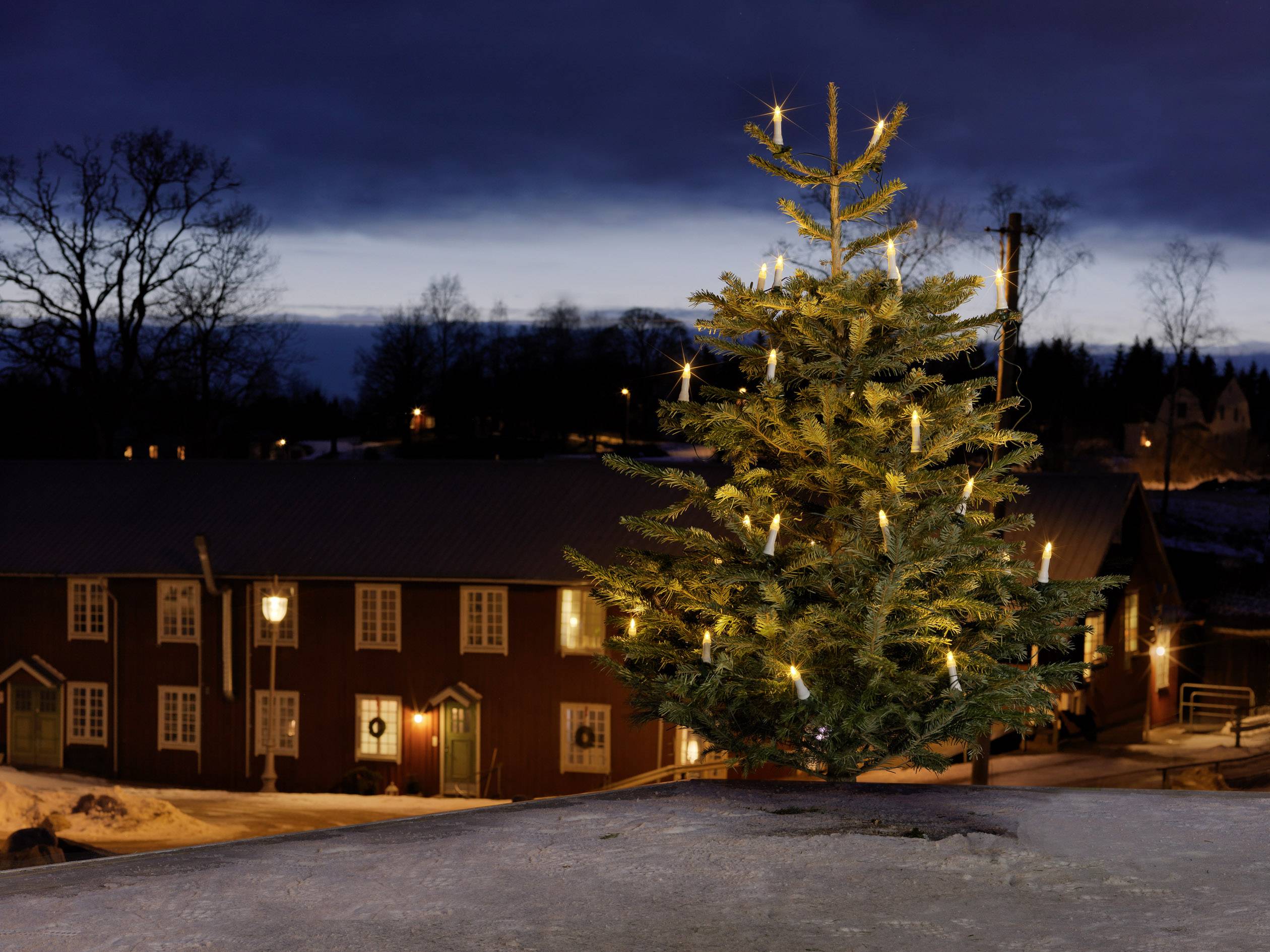 Konstsmide 1014-020 Weihnachtsbaum-Beleuchtung Außen netzbetrieben Anzahl Leuchtmittel 25 LED Warmweiß Beleuchtete Länge: 19.2 m