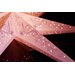 Konstsmide 2982-134 Weihnachtsstern Glühlampe, LED Pink bestickt, mit ausgestanzten Motiven, mit Schalter