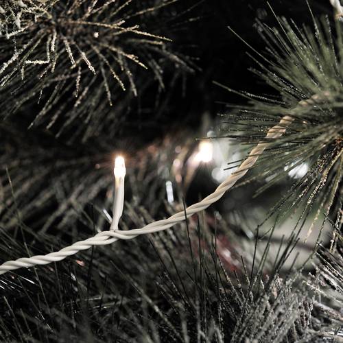 3611-102 Micro-Lichterkette Außen netzbetrieben Anzahl Leuchtmittel 80 LED Beleuchtete L; Energieeffizienzklasse: A