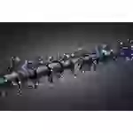 Konstsmide 3863-500 Büschellichterkette Außen netzbetrieben Anzahl Leuchtmittel 960 LED Mehrfarbig Beleuchtete Länge: 7.2m Konstsmide 3863-500 Büschellichterkette Außen netzbetrieben Anzahl Leuchtmittel 960 LED Mehrfarbig Beleuchtete Länge: 7.2m