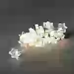 Konstsmide 4090-103 Motiv-Lichterkette Stern Innen netzbetrieben Anzahl Leuchtmittel 24 LED Warmweiß Beleuchtete Länge: 2.3m Konstsmide 4090-103 Motiv-Lichterkette Stern Innen netzbetrieben Anzahl Leuchtmittel 24 LED Warmweiß Beleuchtete Länge: 2.3m