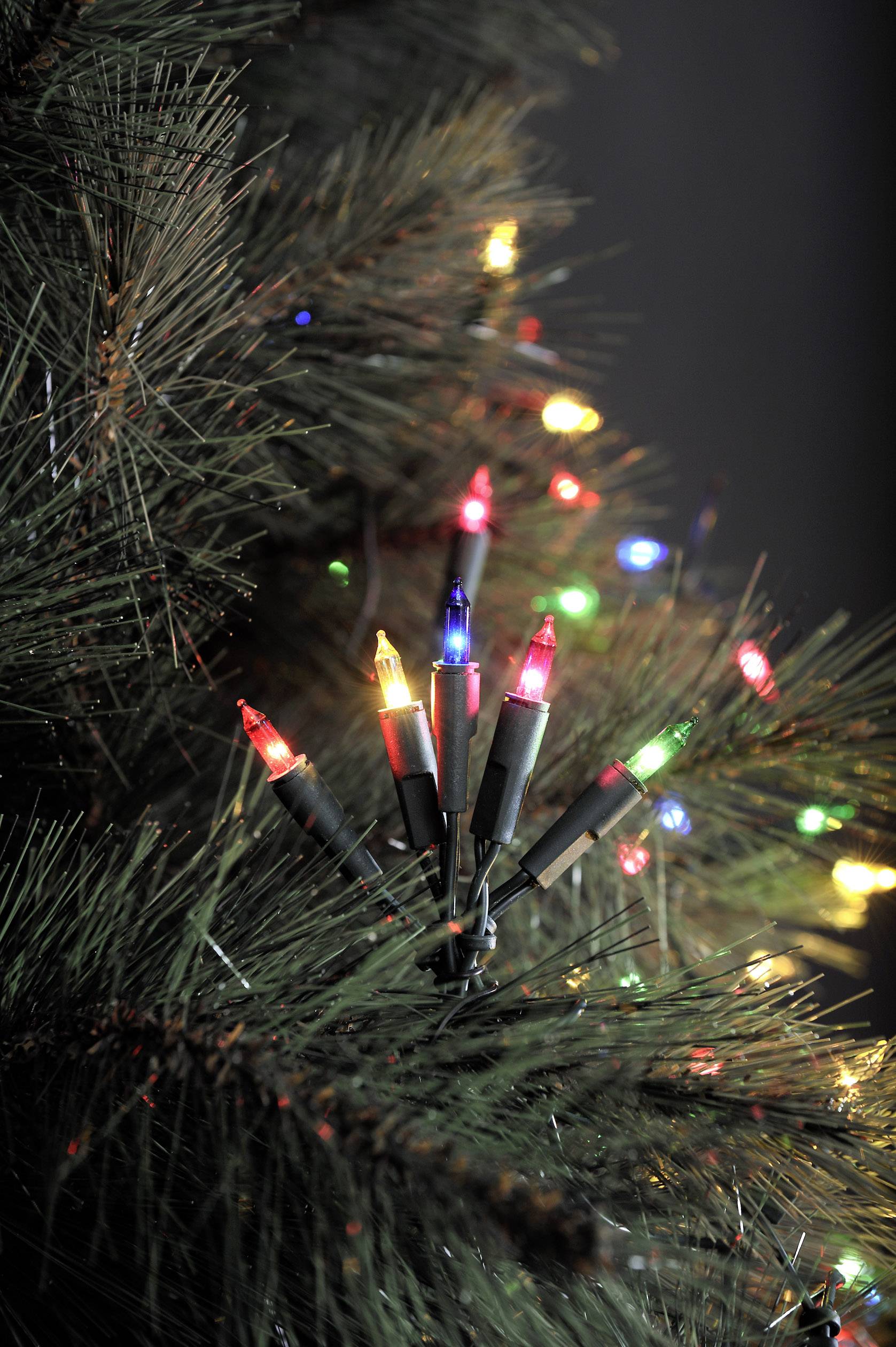 Konstsmide 6303-500 Mini-Lichterkette Innen netzbetrieben Anzahl Leuchtmittel 50 LED Mehrfarbig Beleuchtete Länge: 7.35m