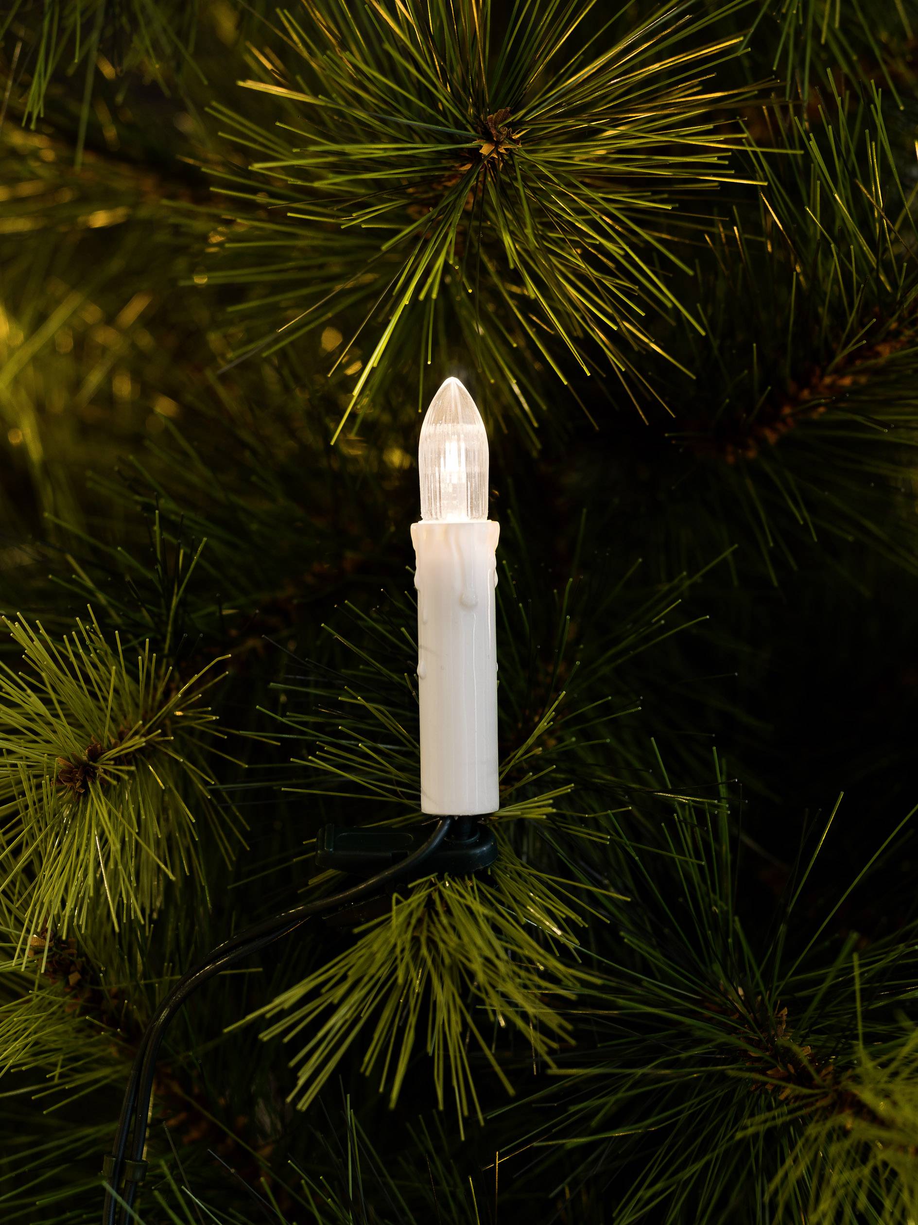 Eine elektrische Kerze leuchtet zwischen grünen Tannenzweigen. Sie erzeugt ein warmes Licht und trägt zu einer festlichen Atmosphäre bei.