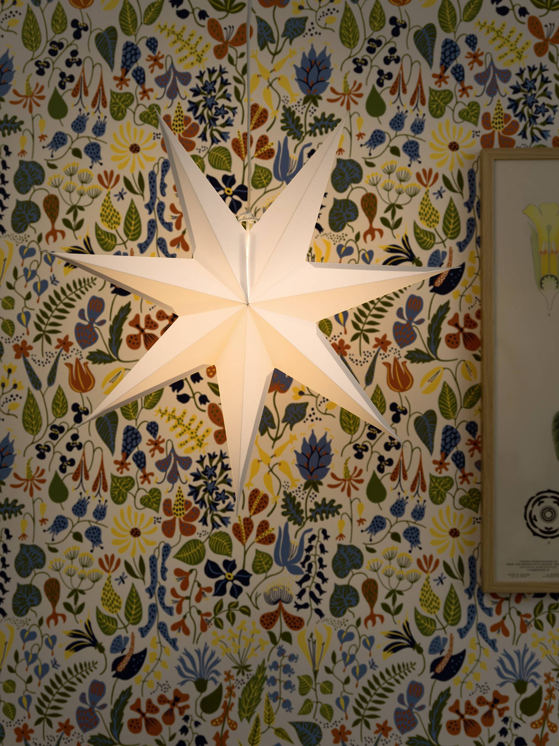 Konstsmide 2917-200 Weihnachtsstern Stern Klar Weiß mit Ständer