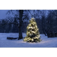 Konstsmide 3864-100 Büschellichterkette Außen EEK: F (A - G) netzbetrieben Anzahl Leuchtmittel 1152 LED Warmweiß Beleuchtete Länge: 8.6 m Konstsmide 3864-100 Büschellichterkette Außen EEK: F (A - G) netzbetrieben Anzahl Leuchtmittel 1152 LED Warmweiß Beleuchtete Länge: 8.6 m