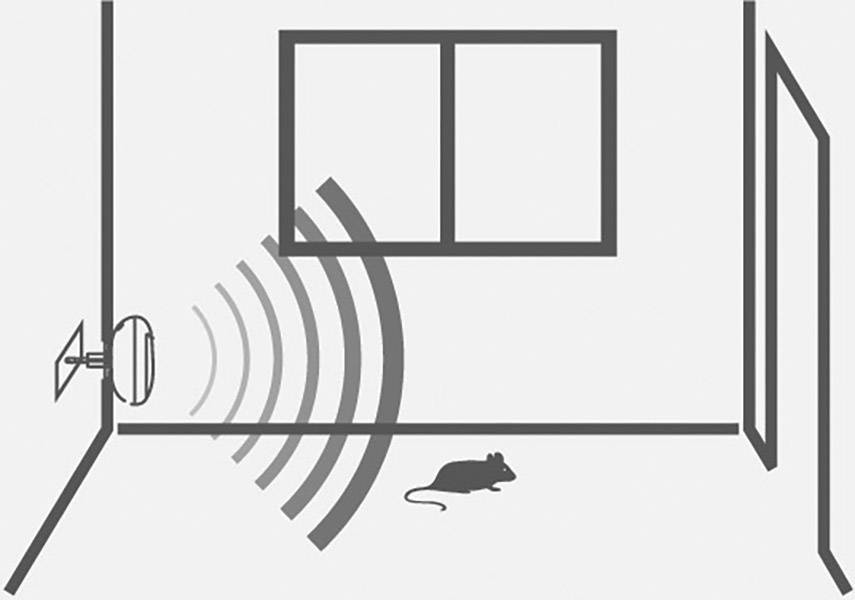 Swissinno Mini Schädlingsvertreiber Funktionsart Ultraschall Wirkungsbereich 15 m² 1 St.