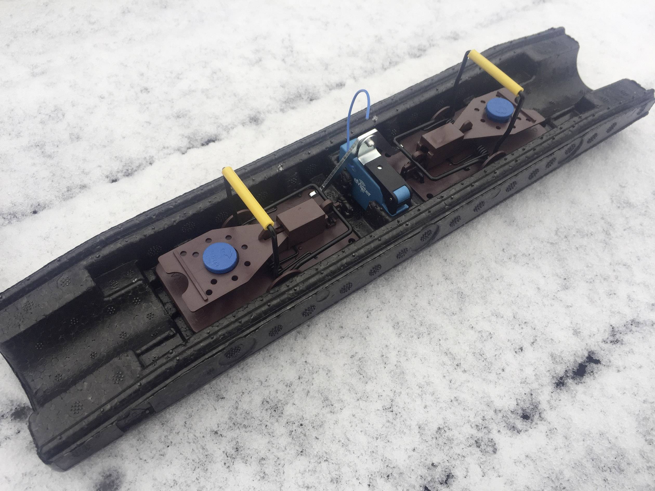 FuturA Runbox Robust +eMitter Mausefalle Lockstoff 1St.