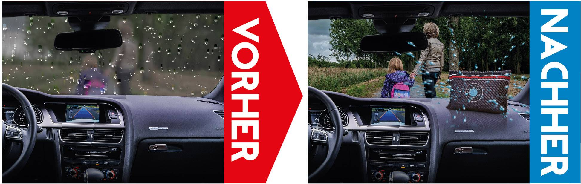 PINGI Luftentfeuchter (L x B x H) 3.00 x 16.3 x 10.50 cm Carbon für alle Auto's, Wohnwagen etc. geeignet