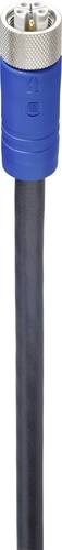 Lumberg Automation 934851081 Sensor-/Aktor-Anschlussleitung M12 Stecker, gerade 2.00 m Polzahl Sens