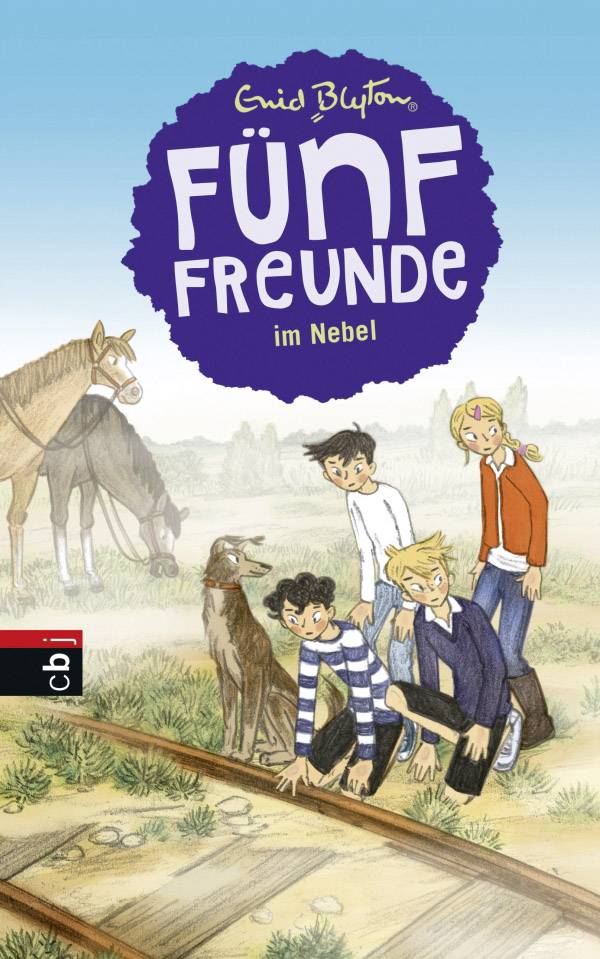 Fünf Freunde (17) im Nebel 022/17212 1 St.