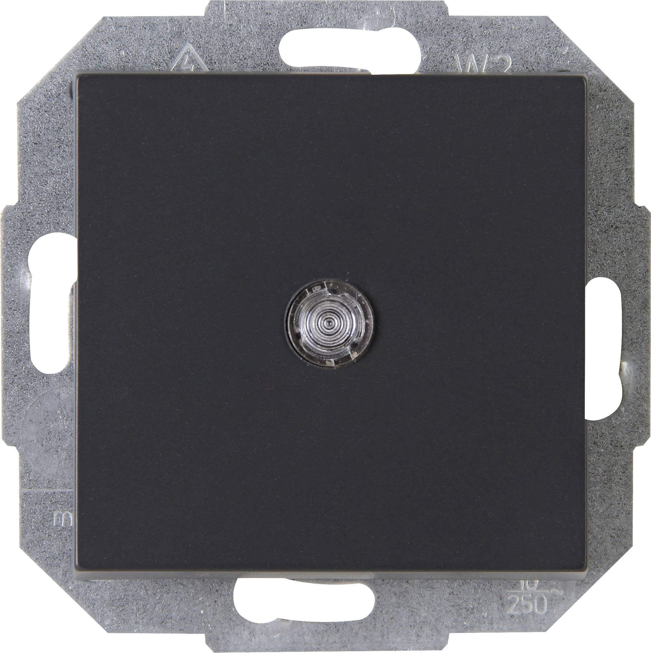 Kopp 1 Stück Einsatz Taster ATHENIS Anthrazit 589365082 1 St.