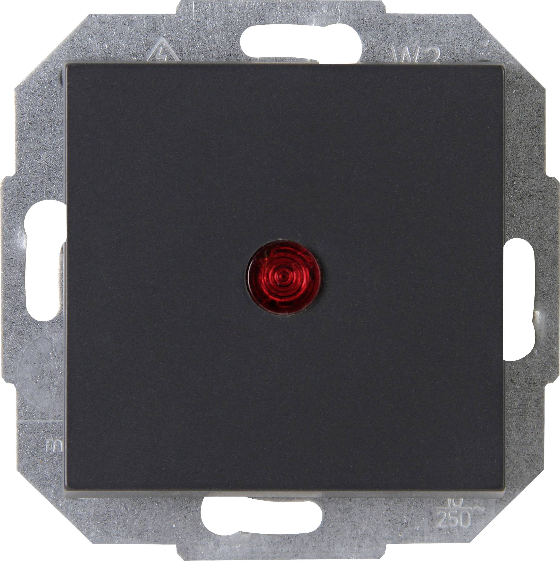 Kopp 1 Stück Einsatz Kontrollschalter ATHENIS Anthrazit 588665080 1 St.