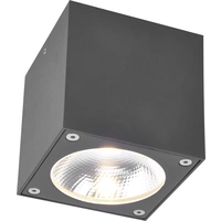 Paul Neuhaus 9674-13 Georg Außendeckenleuchte LED 7W Anthrazit Paul Neuhaus 9674-13 Georg Außendeckenleuchte LED 7W Anthrazit