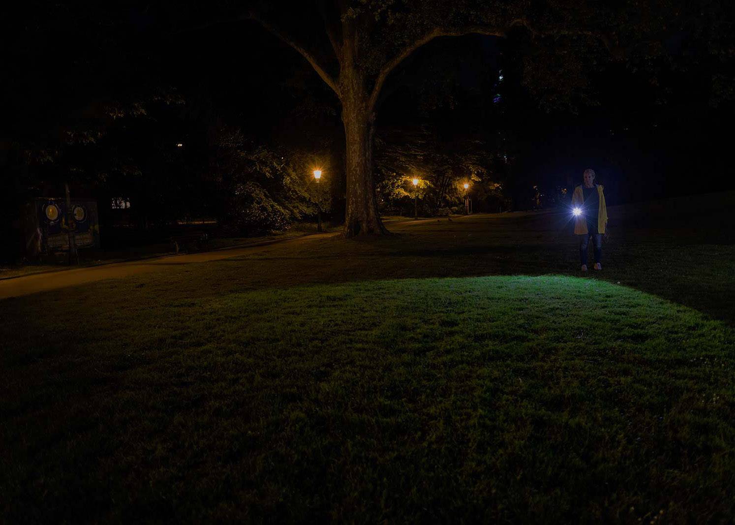 Ledlenser P700 LED Taschenlampe batteriebetrieben 700lm 80h 341g