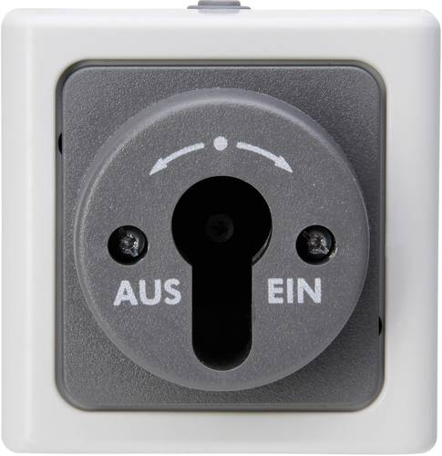 561756017 1 Stück Feuchtraum-Schalterprogramm Komplett Schlüsselschalter BlueElectric Grau