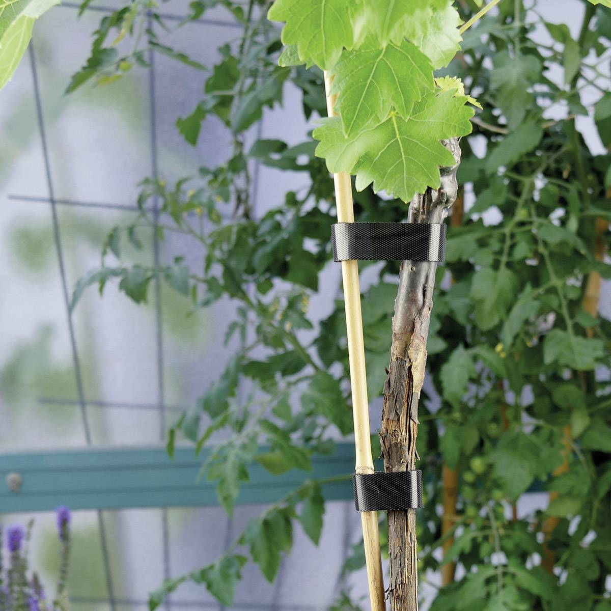 Klettband Label the Cable PRO 1210 Schwarz