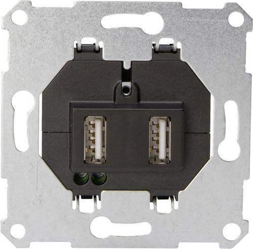 Kopp 2fach Einsatz USB-Steckdose Aluminium 296101185