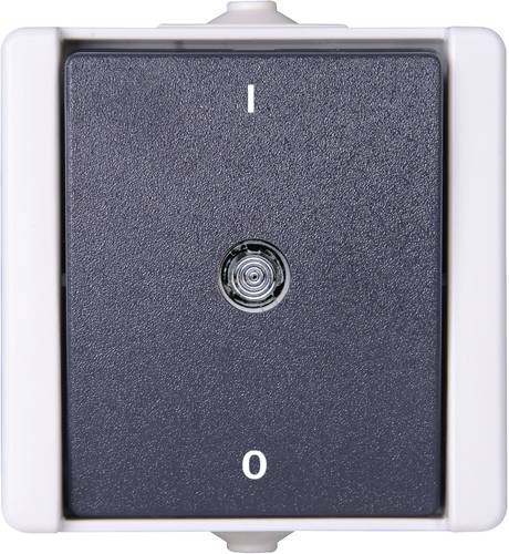 540256000 Feuchtraum-Schalterprogramm Komplett Ausschalter proAQA Grau