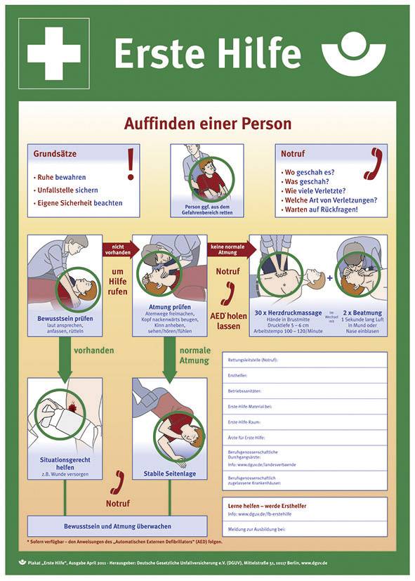 SafetyMarking 43.2914 Aushang Anleitung zur Ersten Hilfe bei Unfällen Kunststoff (B x H) 400 mm x 5