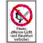 Verbotsschild Feuer, offenes Licht und Rauchen verboten Folie selbstklebend (B x H) 105mm x 148mm ISO 7010 1St.
