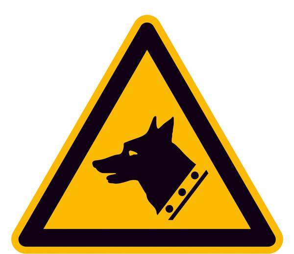 Warnschild Wachhund Aluminium 315mm ISO 7010 1St.