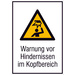 Warn-Kombischild Hindernisse im Kopfbereich Kunststoff (B x H) 210mm x 297mm ISO 7010 1St.