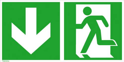 SafetyMarking Fluchtwegschild Aluminium Notausgang links, Richtungsangabe abwärts 15.0084 (B x H) 3