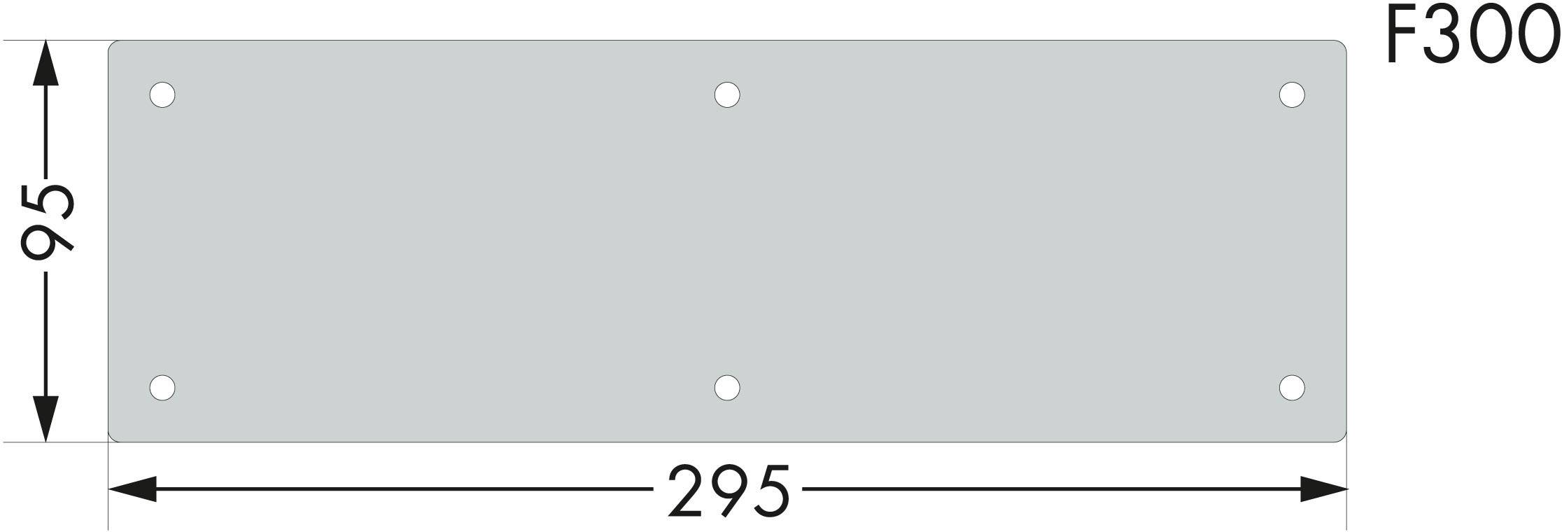 Graue rechteckige Platte mit den Maßen 95 mm x 295 mm. Vier Löcher in den Ecken, Beschriftung 'F300' oben rechts.
